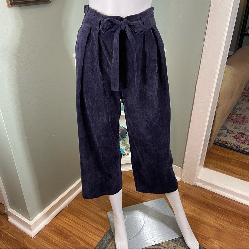 Everly Anthropologie Blue Baby Corduroy Cropped Wide Leg Pants Paper Bag Belted